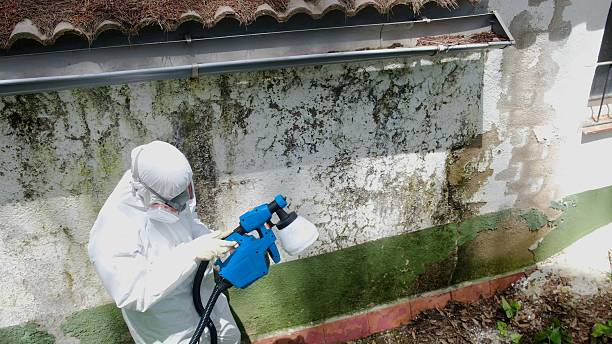 Top rated local Mold Remediation specialists in Etters, PA